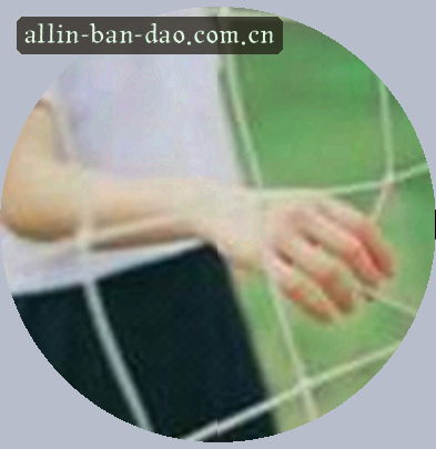 马丽